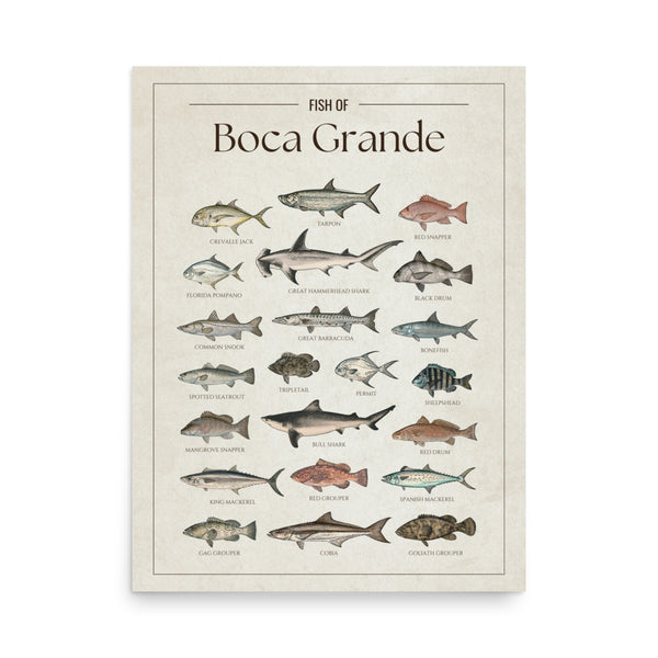 Boca Grande Print