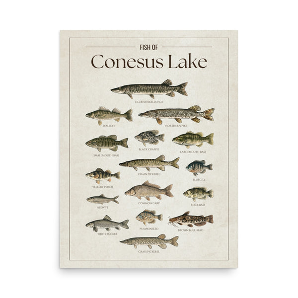Conesus Lake Print