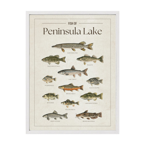 Peninsula Lake Print