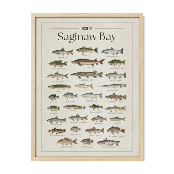 Saginaw Bay Print