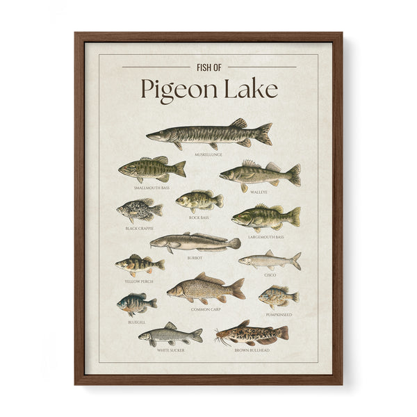 Pigeon Lake Print