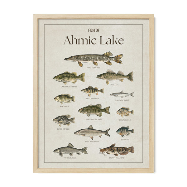 Ahmic Lake Print