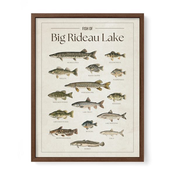 Big Rideau Lake Print