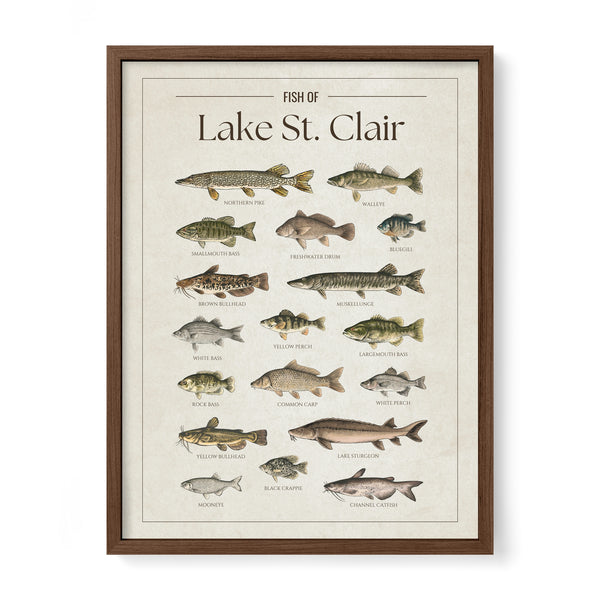 Lake St. Clair Print