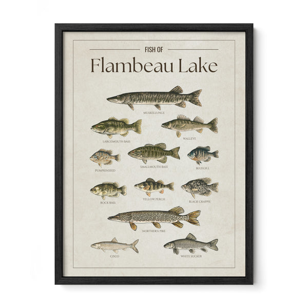 Flambeau Lake Print