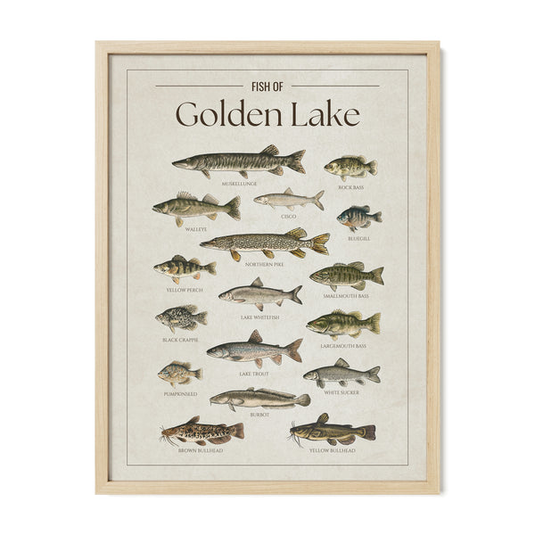 Golden Lake Print