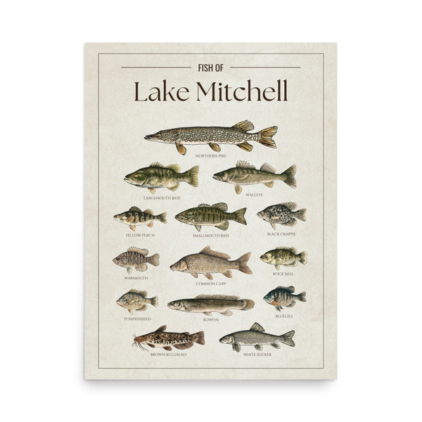 Lake Mitchell Print