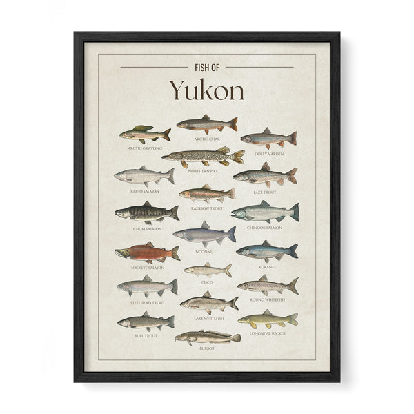 Yukon Print