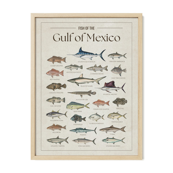 Gulf of Mexico Print