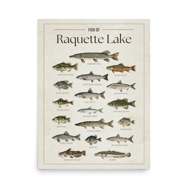 Raquette Lake Print