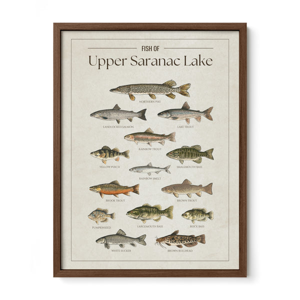 Upper Saranac Lake Print