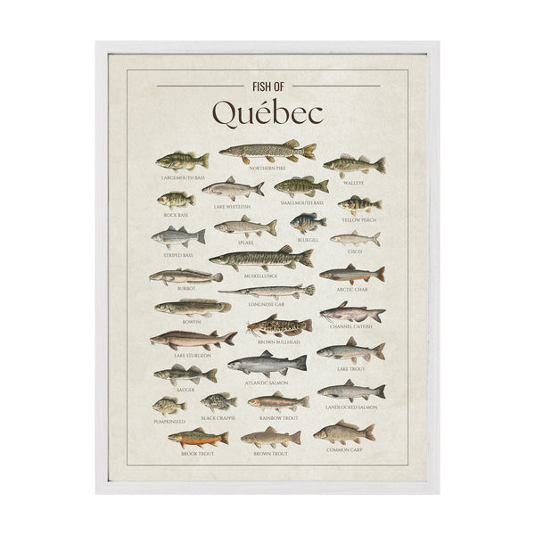 Québec Print