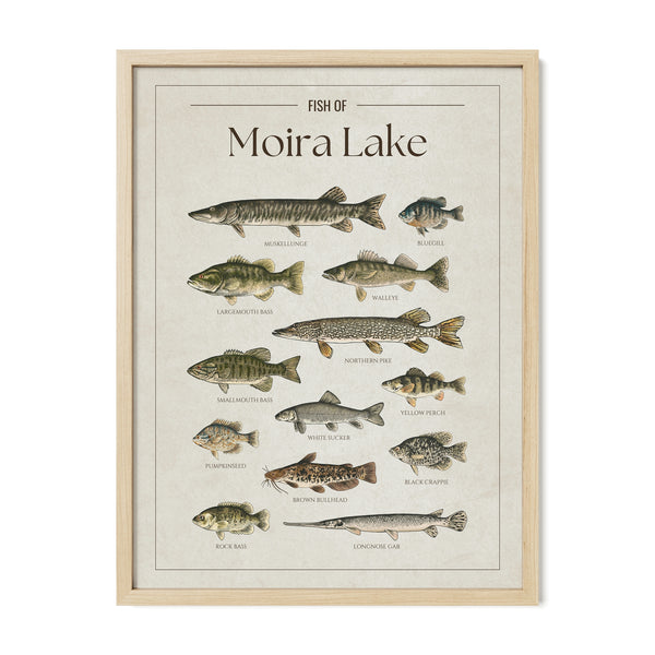 Moira Lake Print