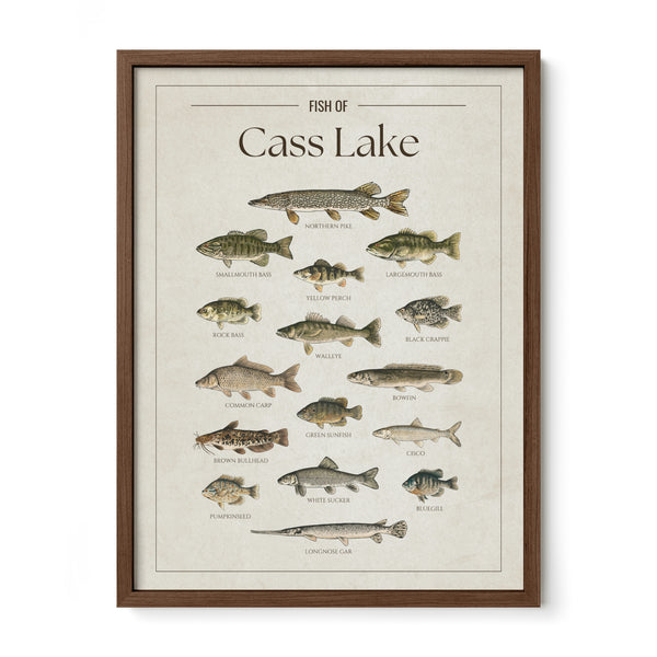 Cass Lake Print