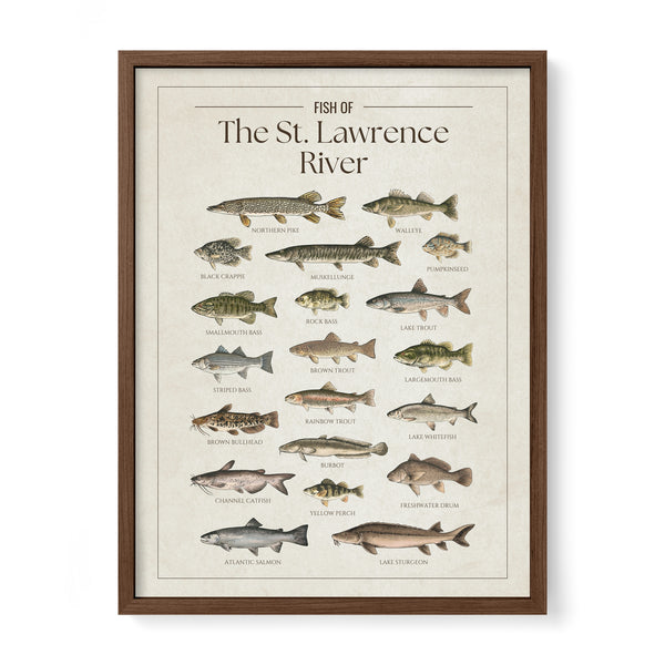 St. Lawrence River Print