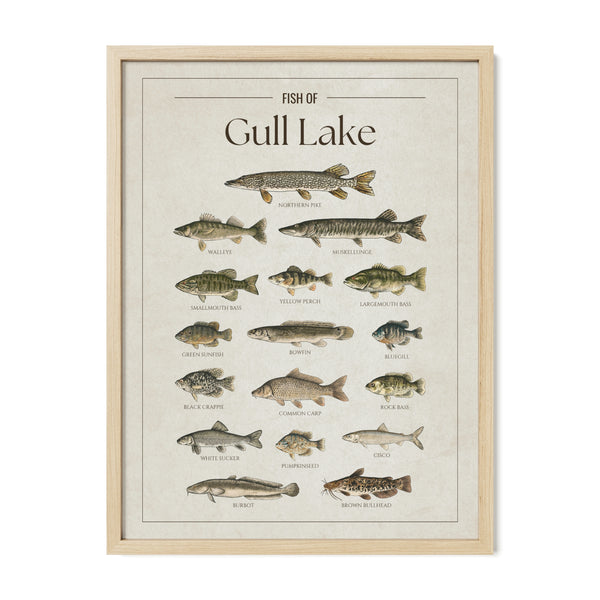 Gull Lake (Minnesota) Print