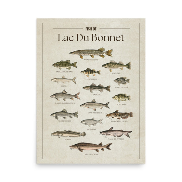 Lac Du Bonnet Print