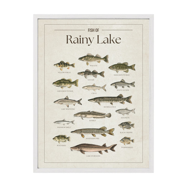 Rainy Lake Print