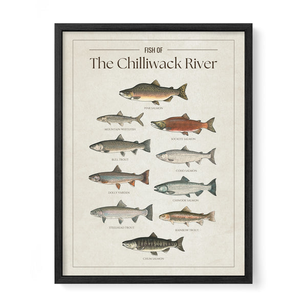 The Chilliwack River Print