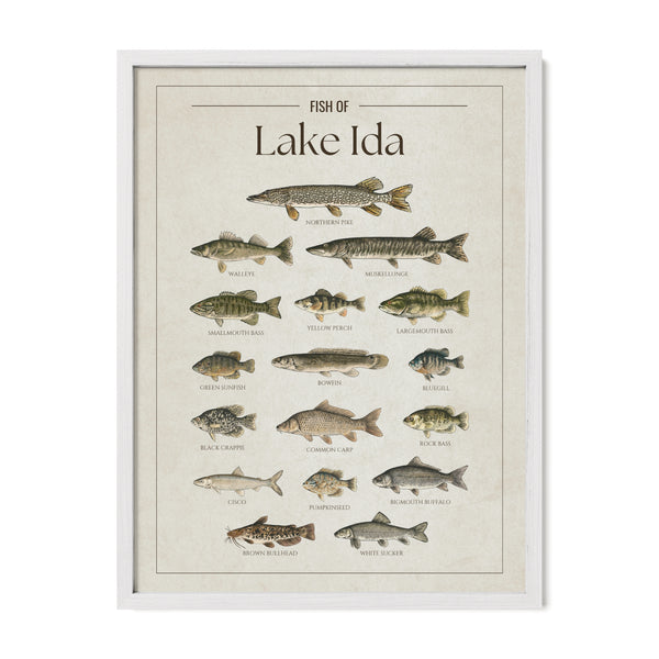 Lake Ida Print