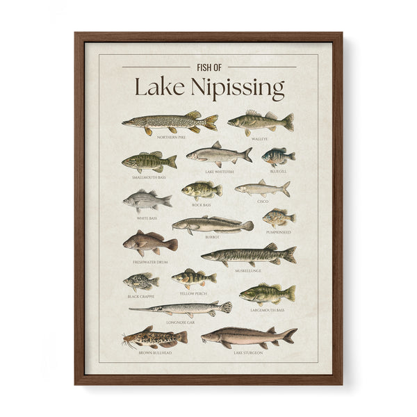 Lake Nipissing Print