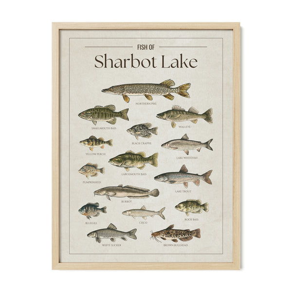 Sharbot Lake Print