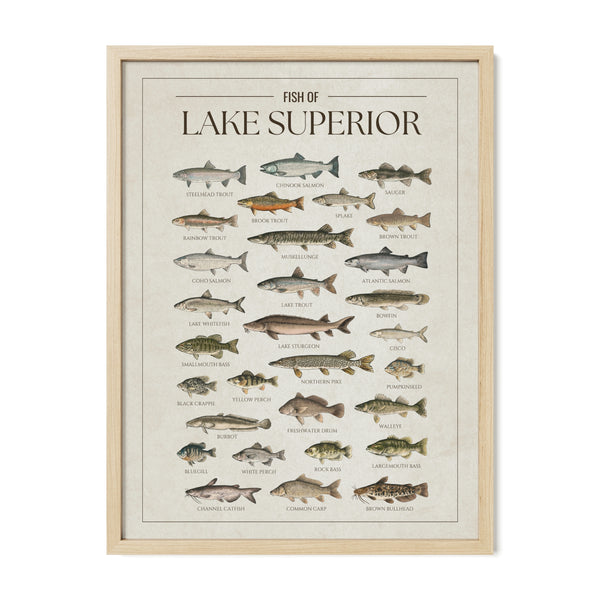 Lake Superior Print