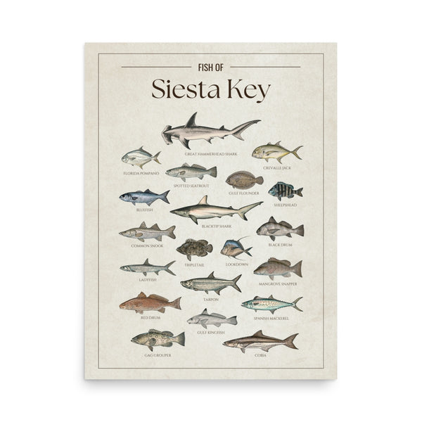 Siesta Key Print