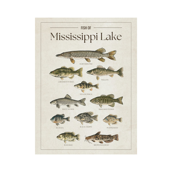 Mississippi Lake Print