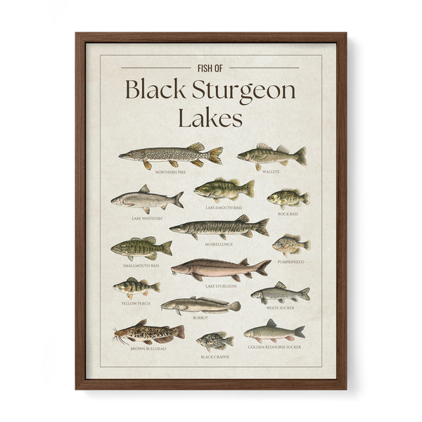 Black Sturgeon Lakes Print