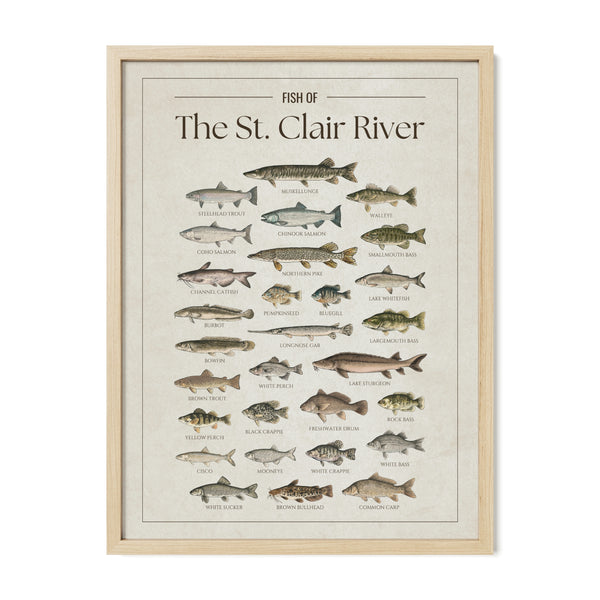 St. Clair River Print