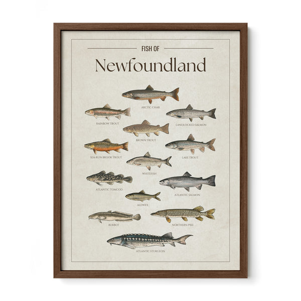 Newfoundland Print