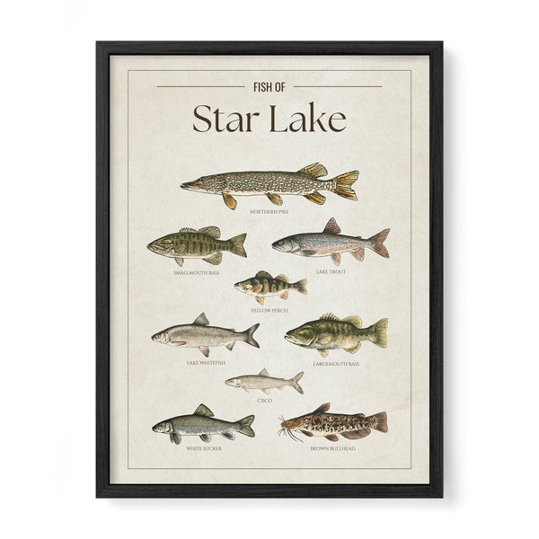 Star Lake Print
