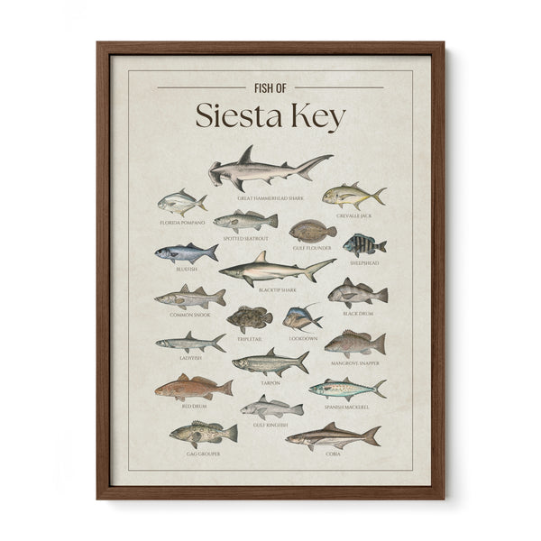 Siesta Key Print