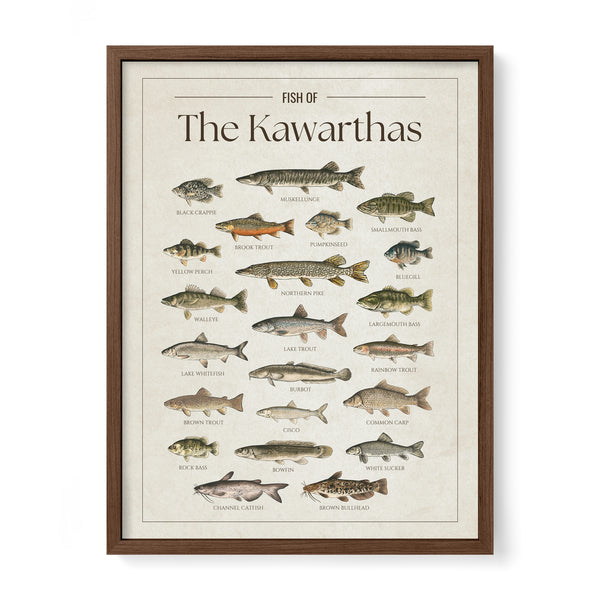Kawarthas Print
