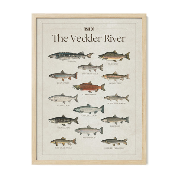 The Vedder River Print