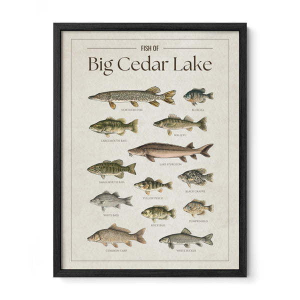 Big Cedar Lake Print