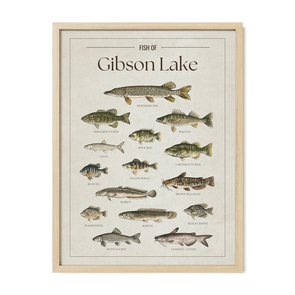 Gibson Lake Print