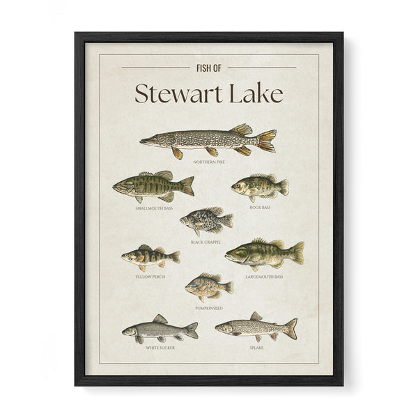 Stewart Lake Print