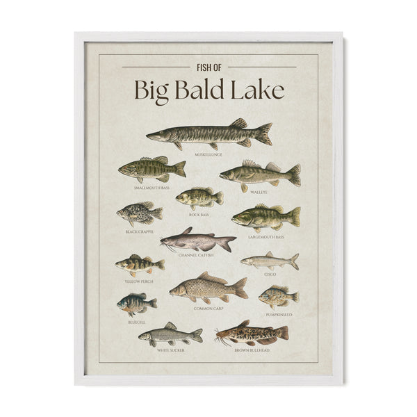 Big Bald Lake Print