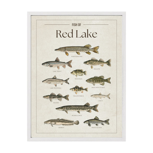 Red Lake Print