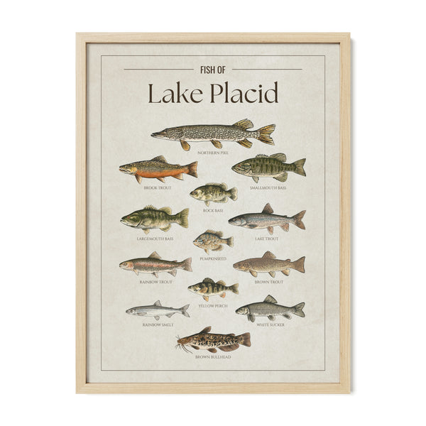 Lake Placid Print