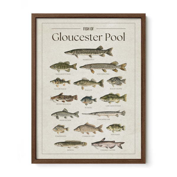 Gloucester Pool Print