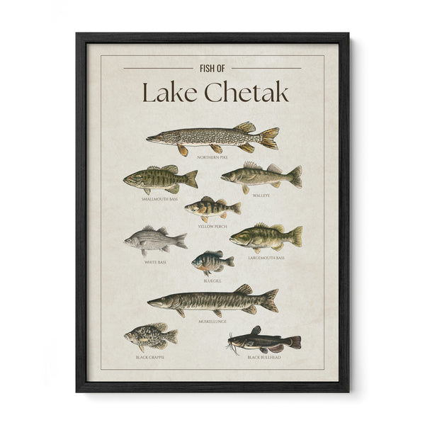 Lake Chetak Print