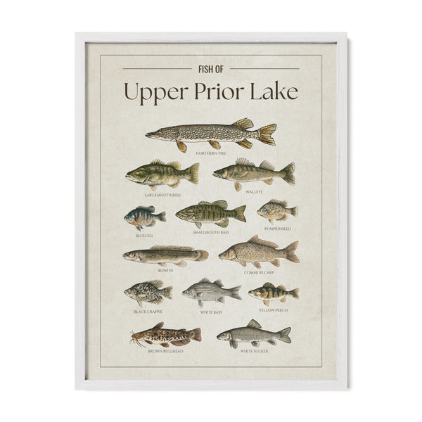Upper Prior Lake Print
