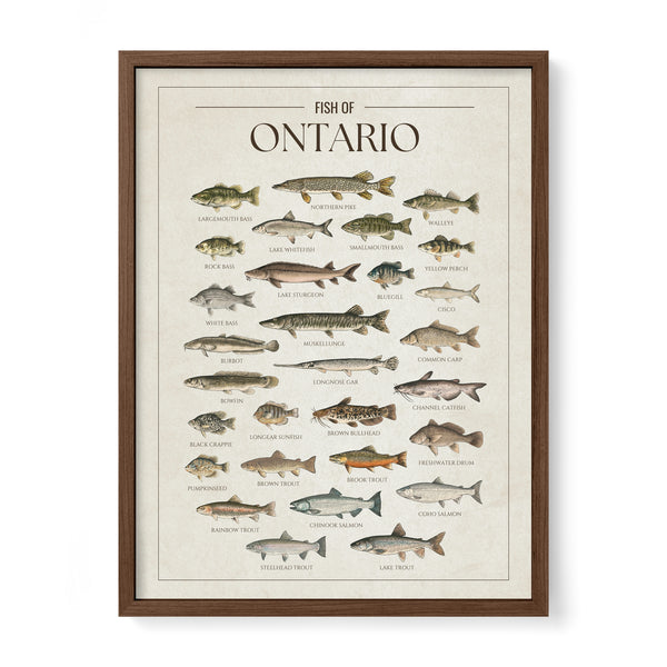 Ontario Print