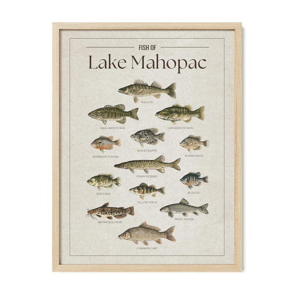 Lake Mahopac Print
