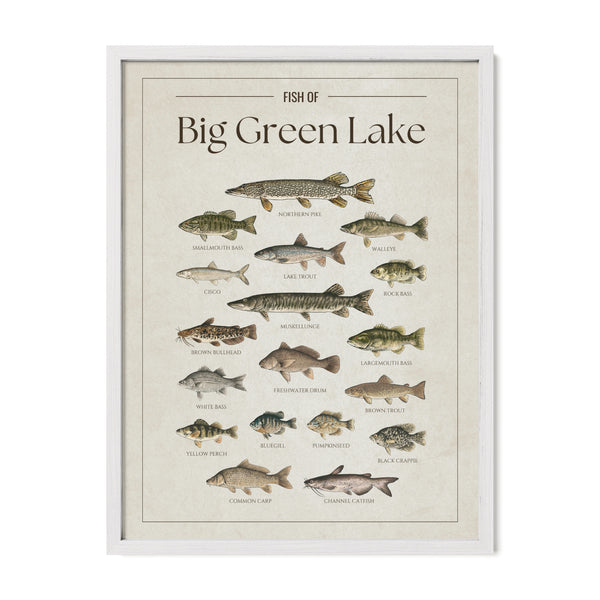 Big Green Lake Print