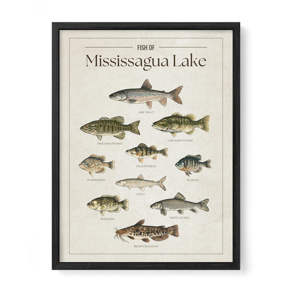 Mississagua Lake Print