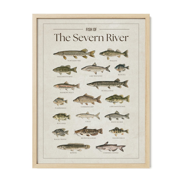Severn River Print